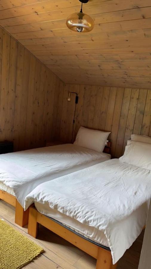 Chalet Luxueux 沙泰勒 外观 照片