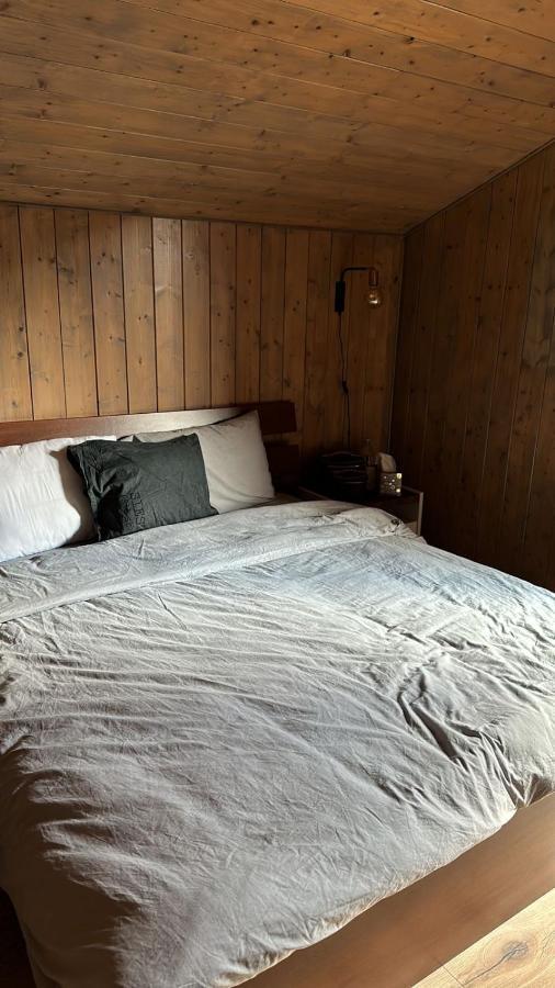 Chalet Luxueux 沙泰勒 外观 照片