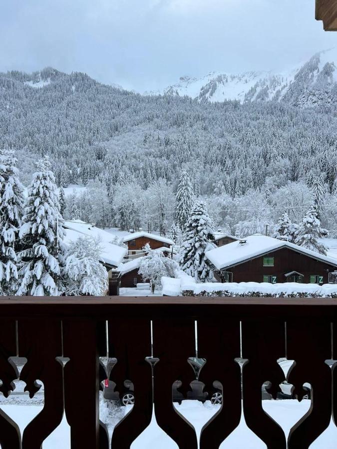 Chalet Luxueux 沙泰勒 外观 照片
